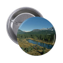 Reflecting Eyes Pins