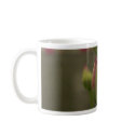 Reflecting Pool At Balboa Park mugs