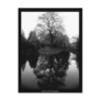 Reflecting Willow black&white - Postcard