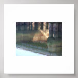 reflection'09 print