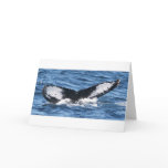 reflection cards
