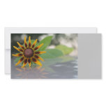 Reflection Flower TEYoung photo cards