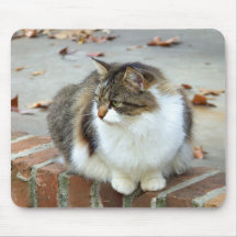 Reflection of Autumn Mousepad