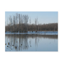 Reflection Post Card