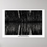 Reflections at a pond poster