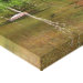 Corner