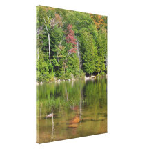 Reflections Canvas Prints