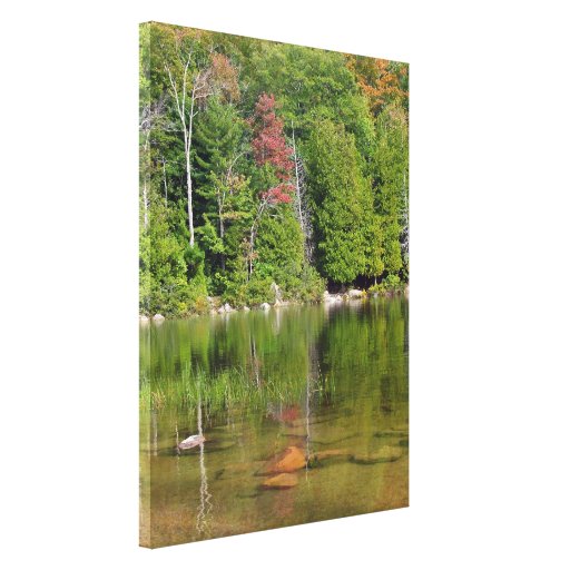 Reflections Canvas Prints