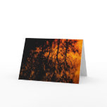 Reflections cards