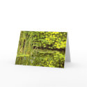 Reflections cards