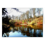 reflections cards