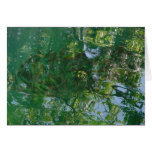 Reflections cards