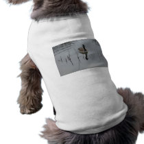 Reflections Dog Clothes