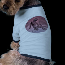 reflections.. pet clothing