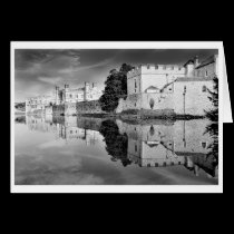 Reflections from a majestic Castle B&W cards