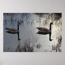 Reflections  I V poster