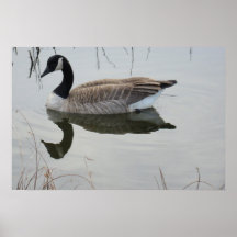 Reflections II poster