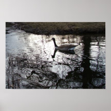 Reflections III poster
