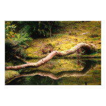 Reflections in the park