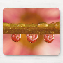 Reflections in the Raindrops Mousepad