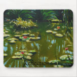 Reflections mousepads