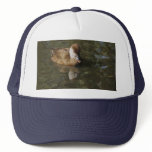 Reflections of a Ducl Hat