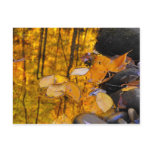 Reflections of Autumn Gold postcards