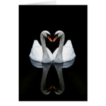 Reflections of Love, Heart Shape, White Swans