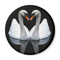 Reflections of Love, Heart Shape, White Swans