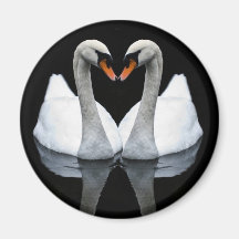 Reflections of Love, Heart Shape, White Swans Fridge Magnet