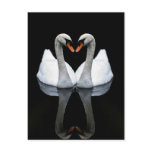 Reflections of Love, Heart Shape, White Swans