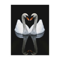 Reflections of Love, Heart Shape, White Swans