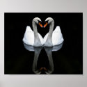 Reflections of Love, Heart Shape, White Swans posters