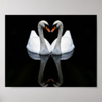 Reflections of Love, Heart Shape, White Swans