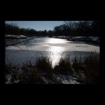 Reflections Of Winter posters