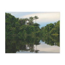 Reflections Postcard