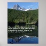 Reflections posters