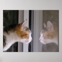 Reflections posters