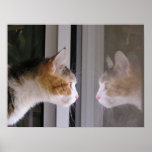 Reflections posters