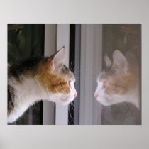 Reflections Print