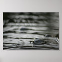 Reflections posters