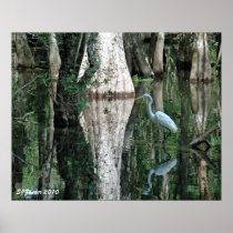 Reflections Print