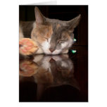 Reflective Kitty Greeting Card