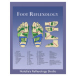 Reflexology chart  - Blue flyers