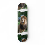 Regal Lion Skateboard