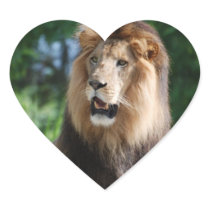 Regal Lion Sticker