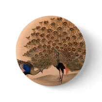 Regal Peacocks Button