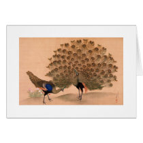 Regal Peacocks Greeting Cards