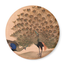Regal Peacocks Magnet