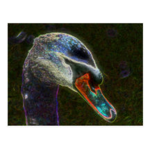 Regal Swan Digital Art Nature Photography Postcard